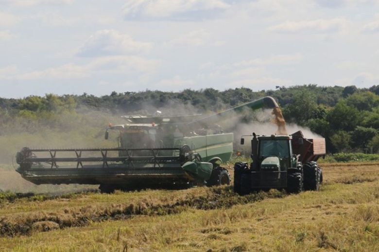 Hay alerta por la crisis que atraviesa el sector arrocero