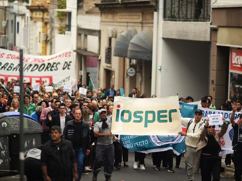 El Senado recibirá a los gremios que rechazan cambios en el Iosper