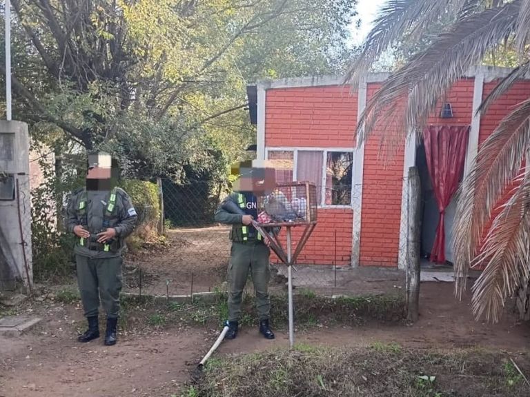 Una red narco que operaba en el sur santafesino fue desmantelada