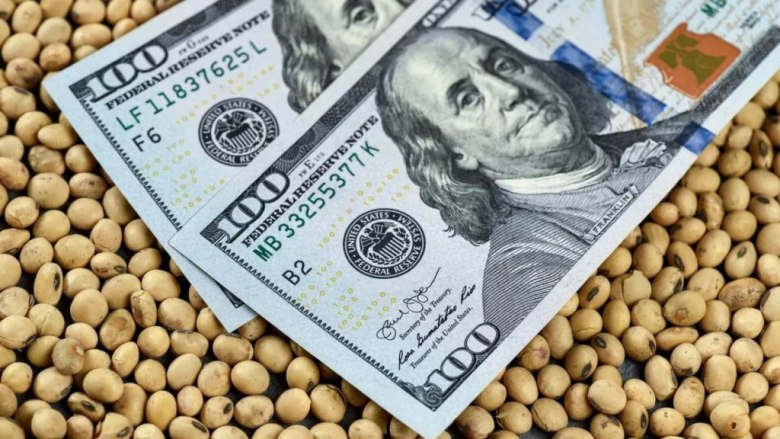 Santa Fe considera “un error” que se vuelvan a aumentar las retenciones al sector agropecuario