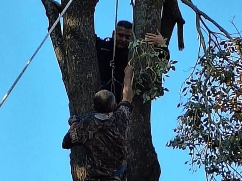 Un jardinero quedó colgado de un árbol con una motosierra encendida a 10 metros de altura