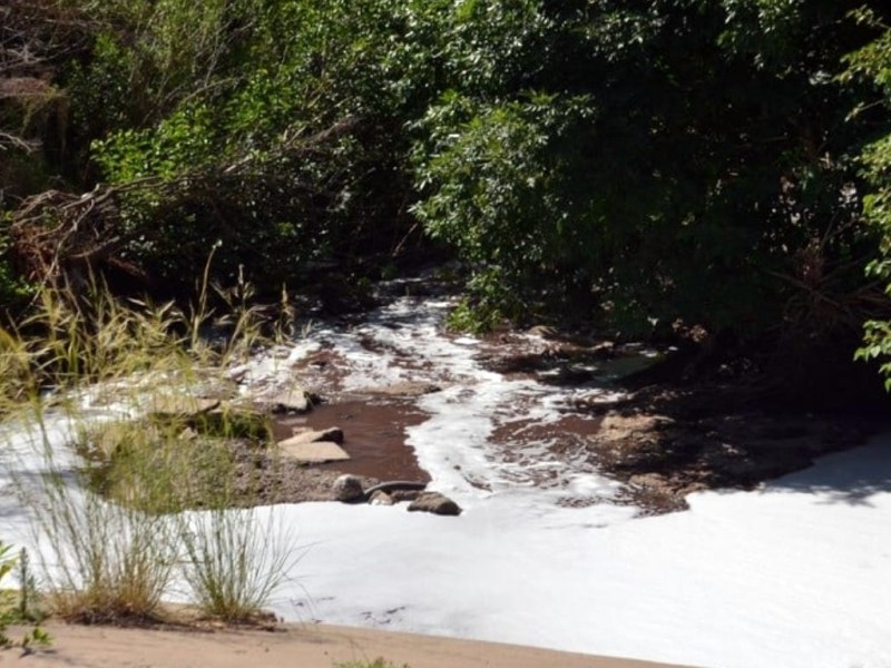 Detectan niveles récord de glifosato y toxicidad letal en arroyos de Santa Fe y Entre Ríos