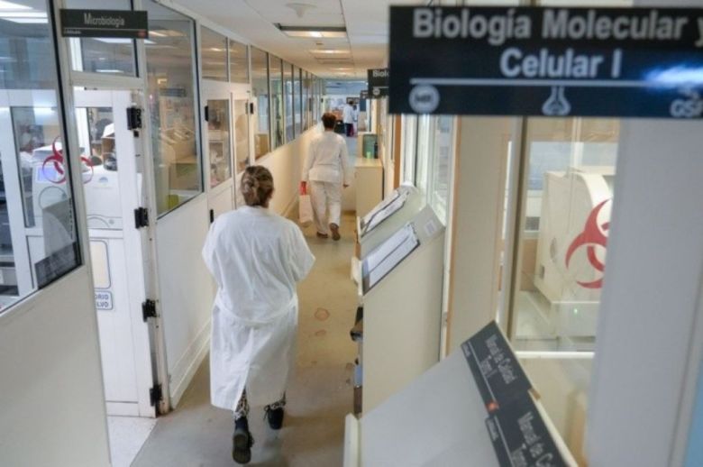 Alivio en los centros de salud: bajan los casos de dengue en Rosario