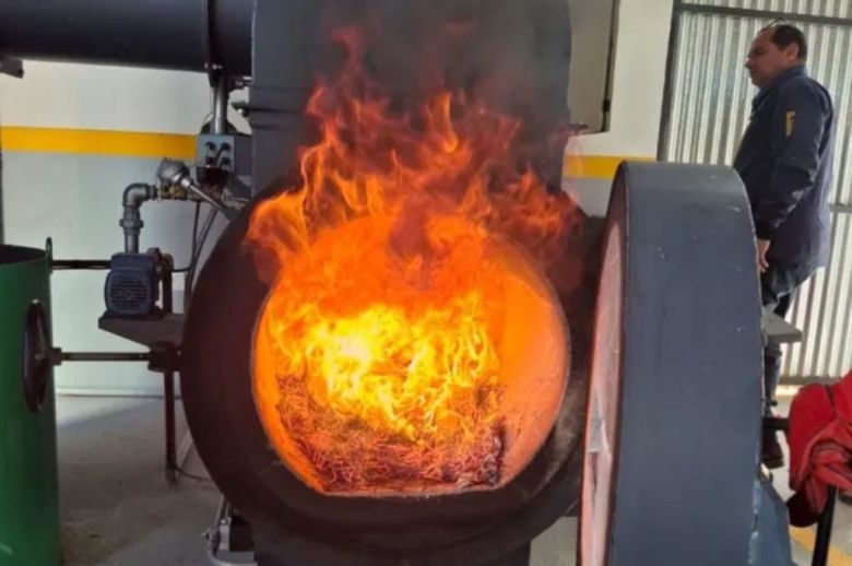 La Paz: quemaron más de 25 kilos de drogas incautadas por un valor superior a los 0 millones