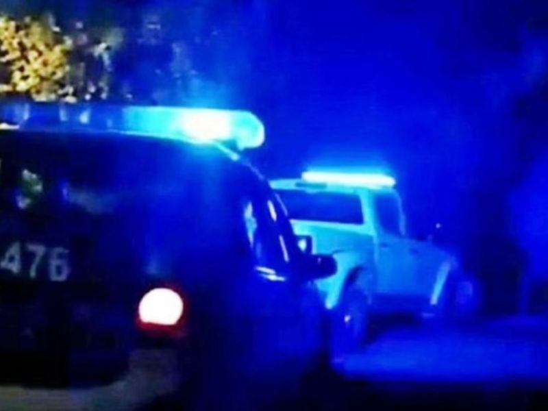 Accidente en ruta 39: un camionero chocó contra un ternero en la zona de Caseros