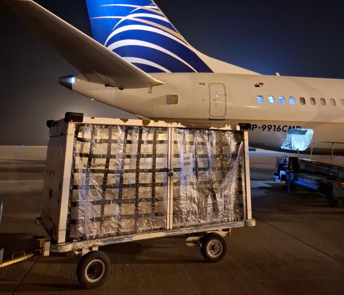 Desde Rosario ya se exporta carne y pescado por vía aérea