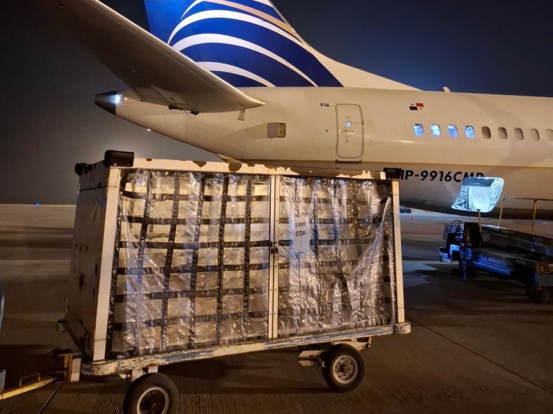 Desde Rosario ya se exporta carne y pescado por vía aérea