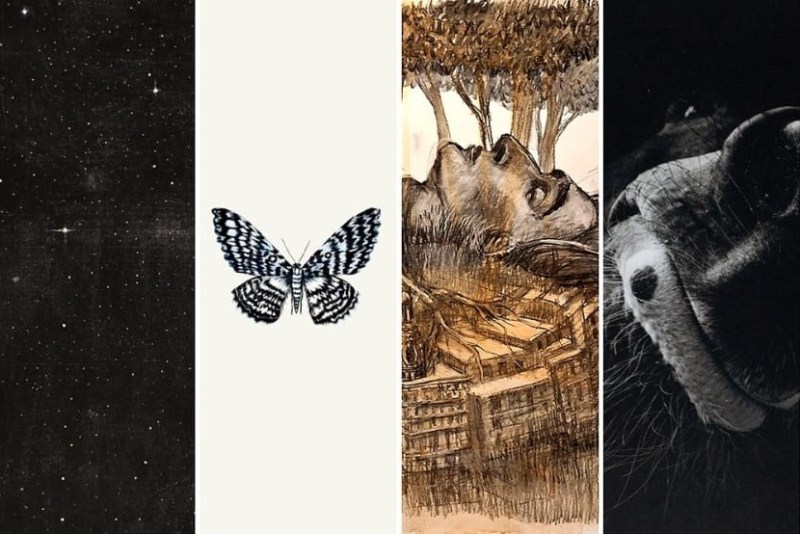 Santoro, García, Brizuela y Canto exponen sus obras en el Centro Cultural Contraviento