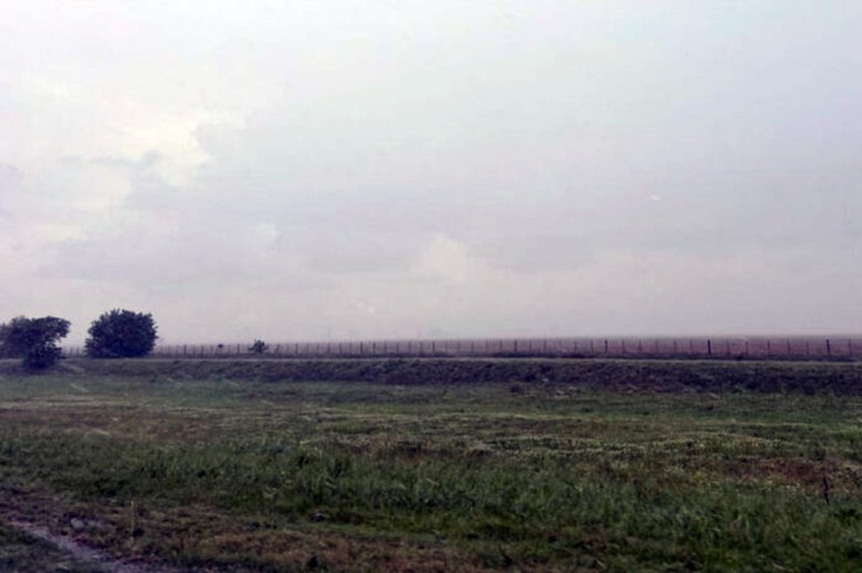 Brotes verdes: las lluvias de julio rompieron el promedio histórico e impulsan la campaña de trigo