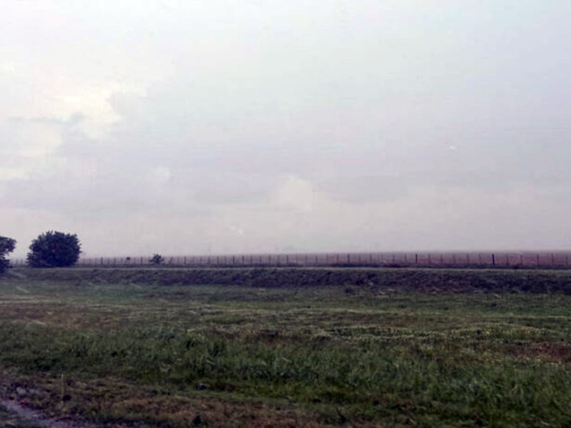 Brotes verdes: las lluvias de julio rompieron el promedio histórico e impulsan la campaña de trigo