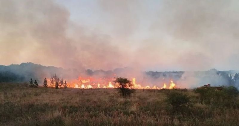 Reconquista: sospechan que dos incendios forestales podrían ser intencionales