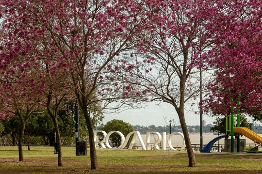 Rosario será sede de la «Semana del Clima»