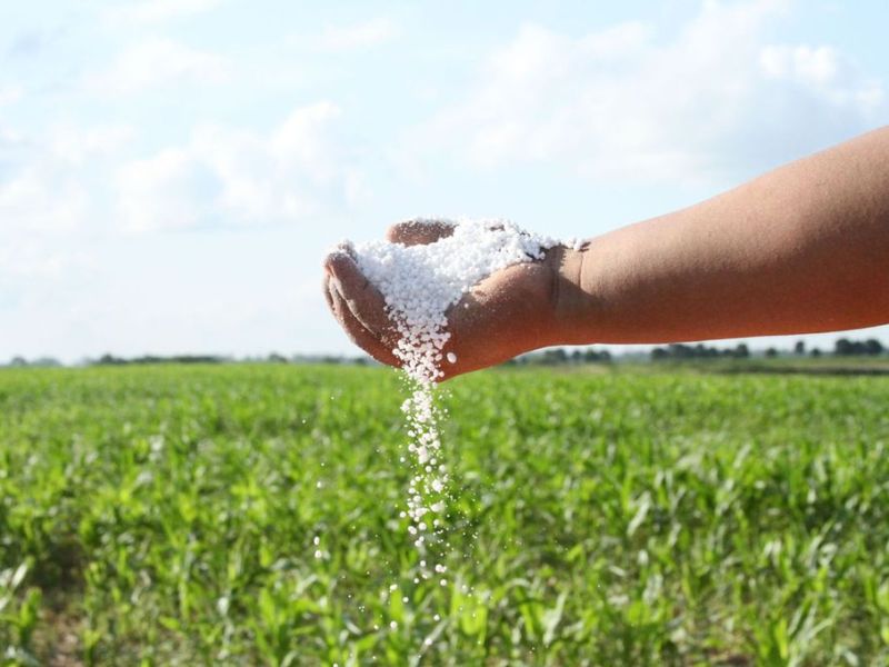 ¿De qué forma afecta la guerra a la agricultura entrerriana?