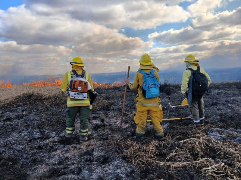 Manejo del fuego en el delta del Paraná: Santa Fe coordina acciones clave con Buenos Aires y Entre Ríos