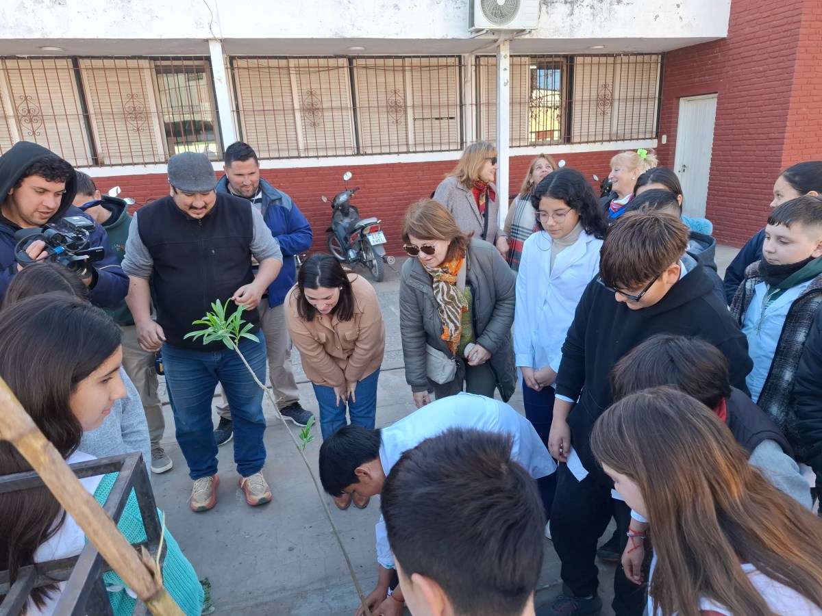 Con participación comunitaria San Javier fortalece su política de arbolado urbano