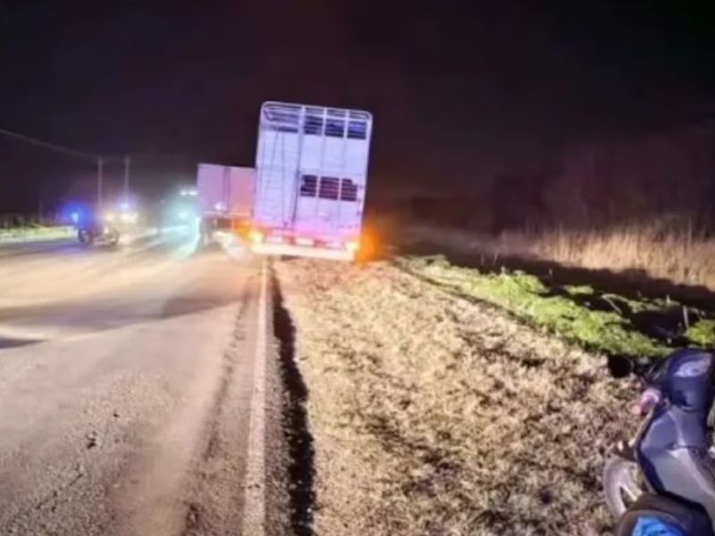 Trágico accidente en RP 11: una mujer murió tras caer de la moto y ser atropellada por un camión