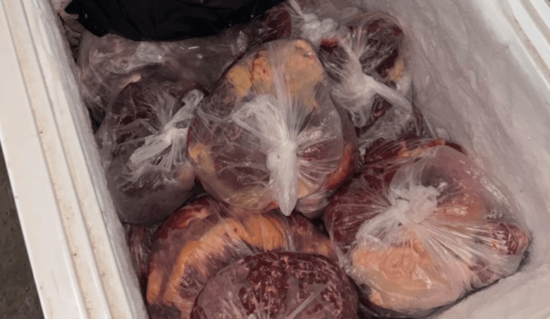 Los Pumas de Reconquista decomisaron más de 74 kg de carne en mal estado