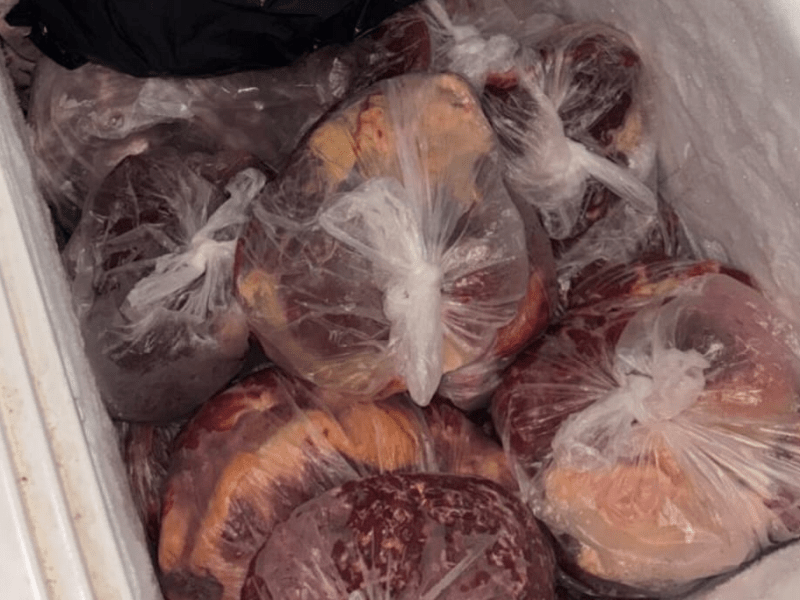 Los Pumas de Reconquista decomisaron más de 74 kg de carne en mal estado