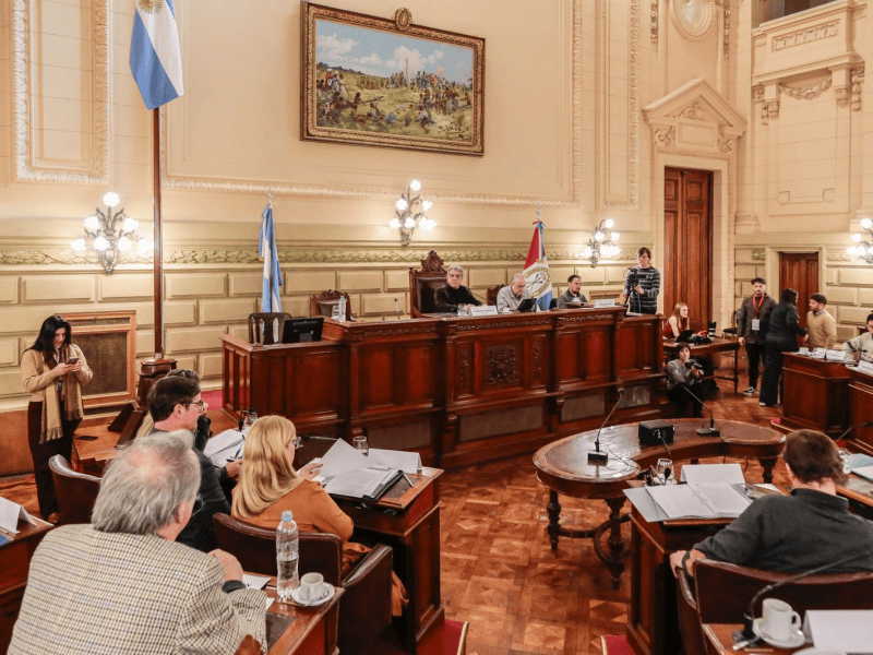 Se picó en la Convención por el tema de los DNU y los «retornos de los asesores»