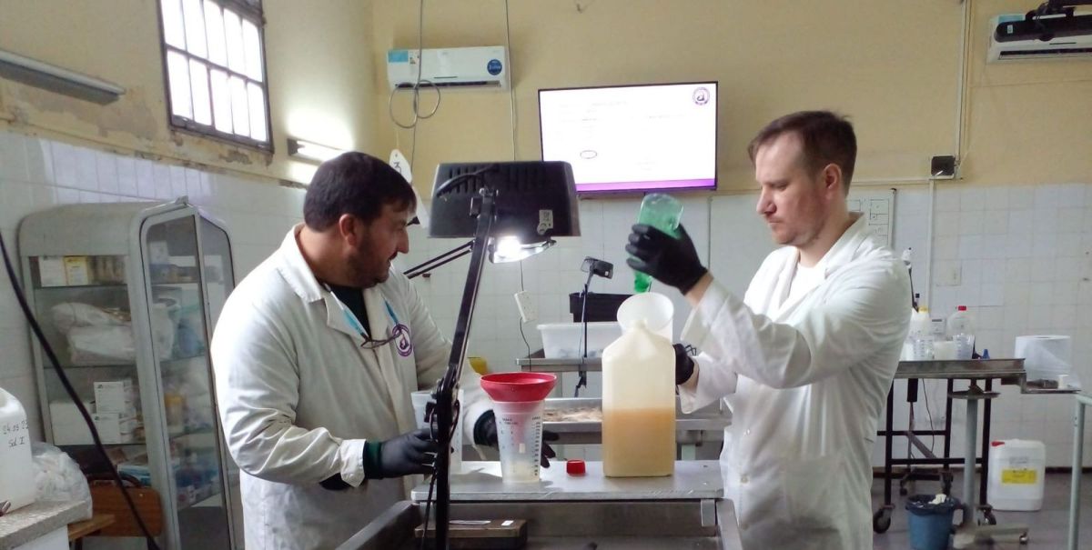Casilda: una investigación en la Facultad de Ciencias Veterinarias revolucionaría el estudio de la anatomía