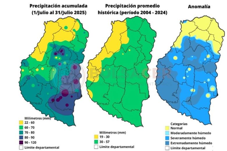 Las lluvias de julio se duplicaron en comparación con su nivel histórico