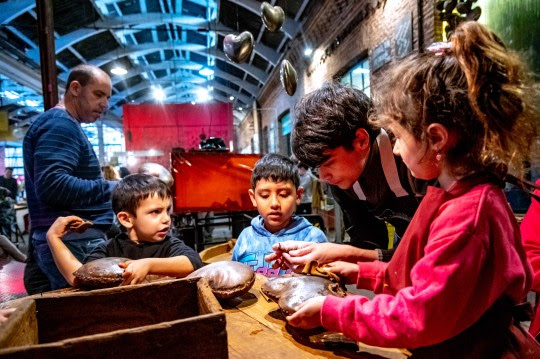 La Isla de los Inventos rosarina se renueva: invitan a donar libros para una nueva biblioteca para adolescentes y adultos
