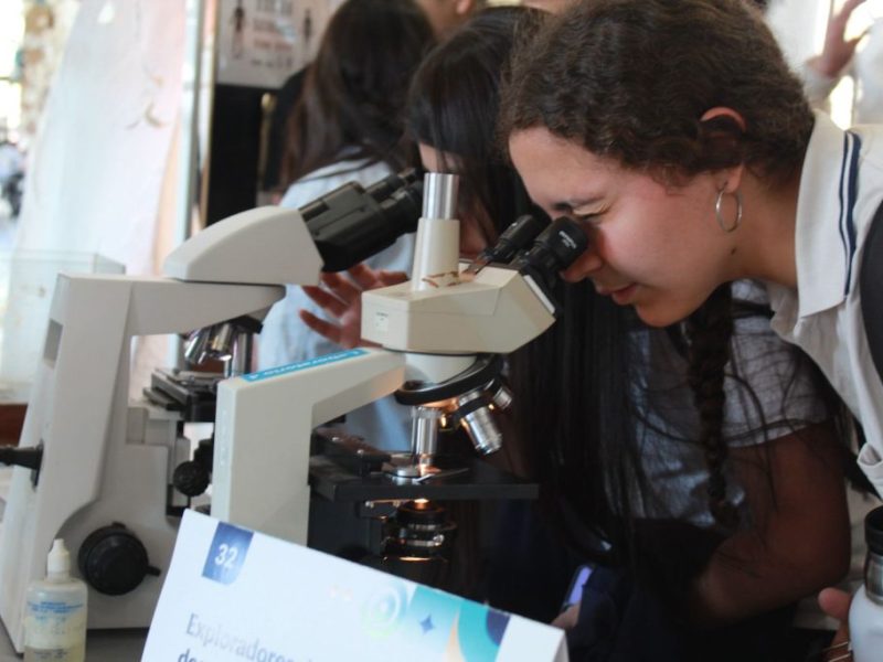 Santa Fe puso en marcha su red de conocimiento en la Semana de la Ciencia