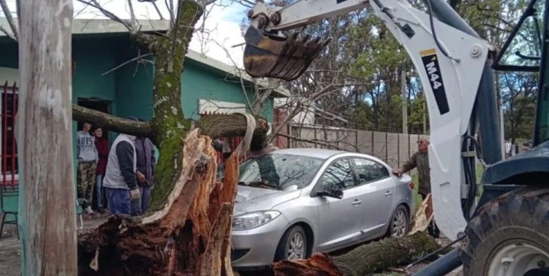 Vientos de más de 60 km/h provocaron destrozos y caída de árboles en Rufino