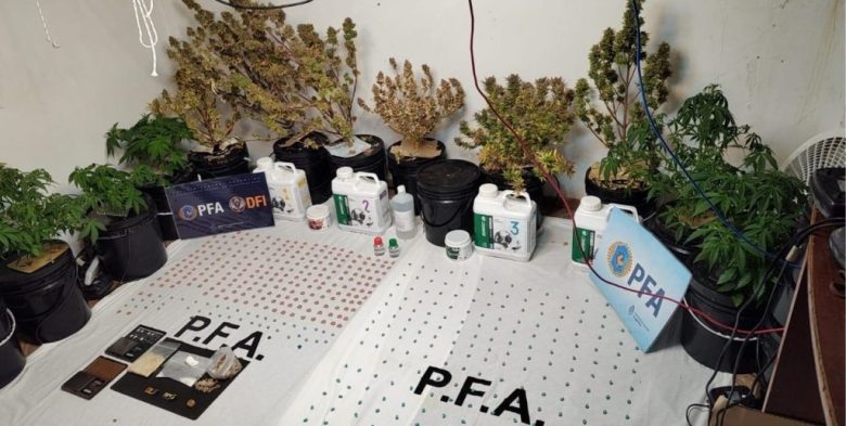 Secuestran éxtasis en un operativo antidrogas previo a una fiesta electrónica en Santa Fe