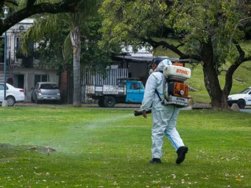 Ante la aparición de mosquitos, en Paraná comenzó la campaña de fumigación en áreas naturales