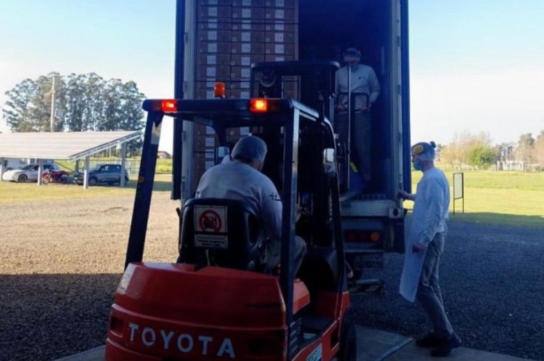 Crece el mercado de la nuez pecán en Entre Ríos: en un mes, se exportaron casi 30 mil kilos a Rusia y Países Bajos