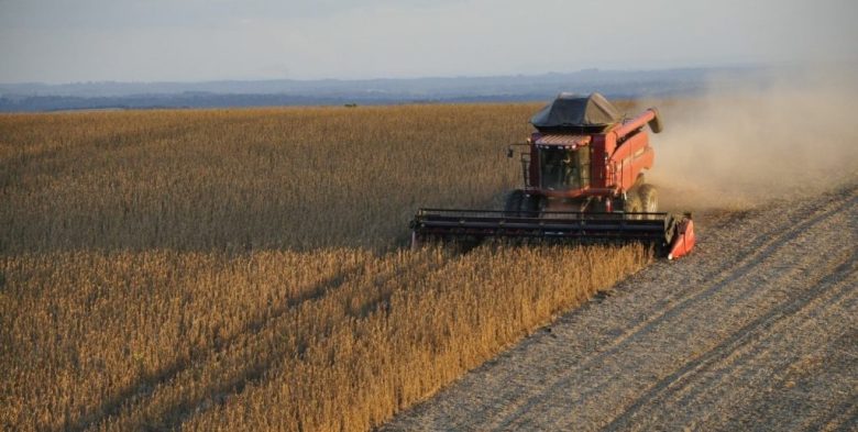 Productores agropecuarios con opiniones divididas tras el anuncio oficial sobre la eliminación de retenciones
