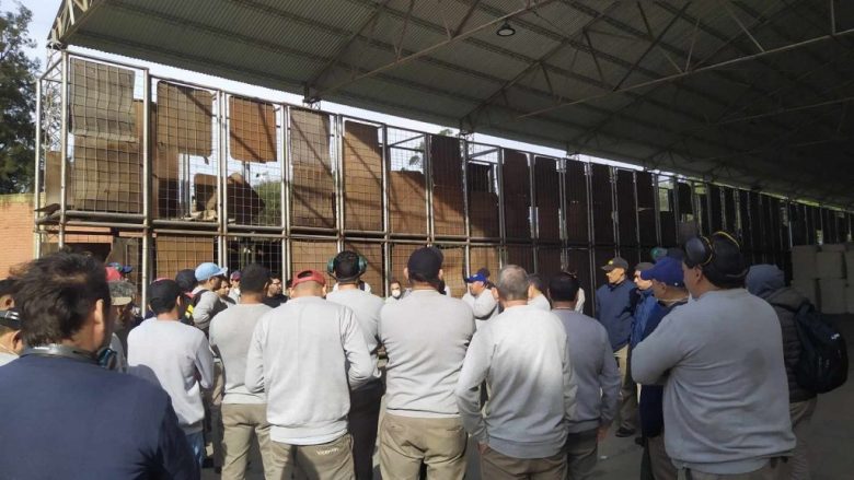Lapidario informe sobre la crisis en Algodonera Avellaneda, que bordea la quiebra