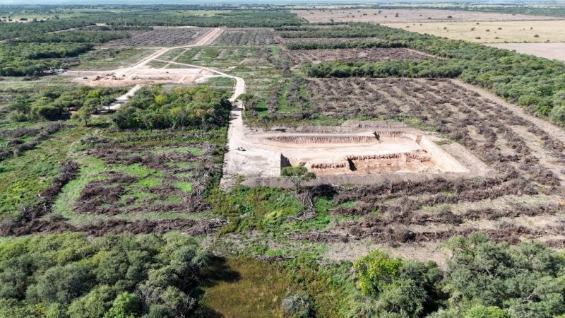 Detuvieron un desmonte ilegal en el norte santafesino