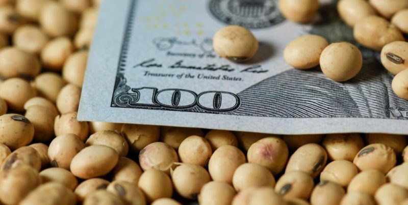 Retenciones cero: el campo argentino liquidó 7.000 millones de dólares en dos días