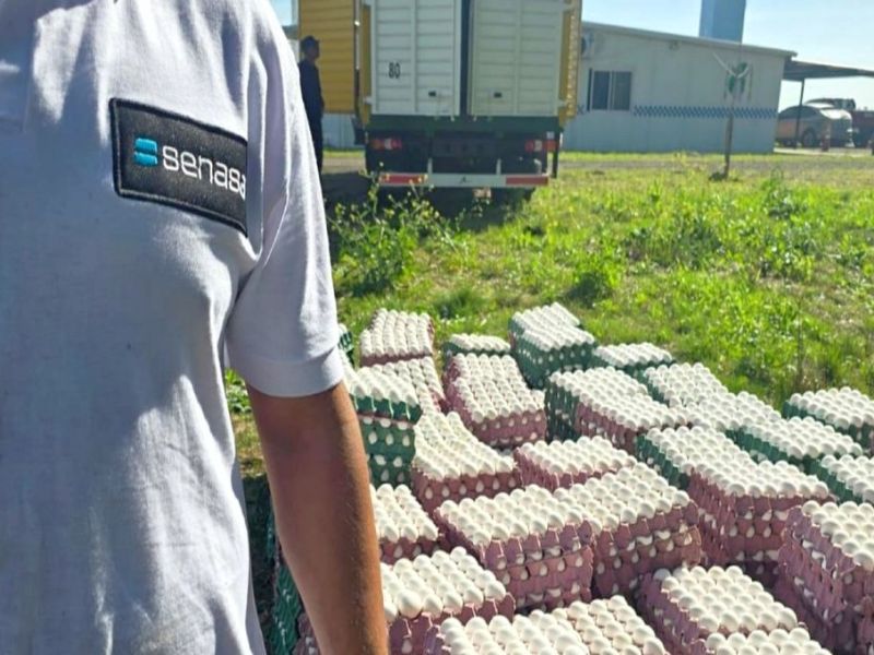 Decomisaron 36 mil huevos en Paso de la Laguna