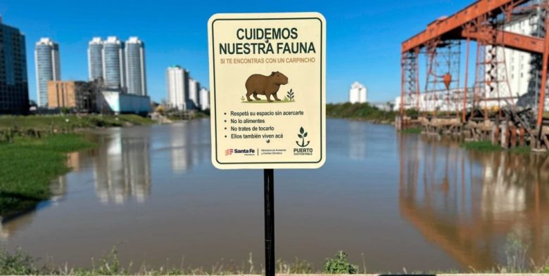 Piden protección y cuidado para los carpinchos del Puerto de Santa Fe