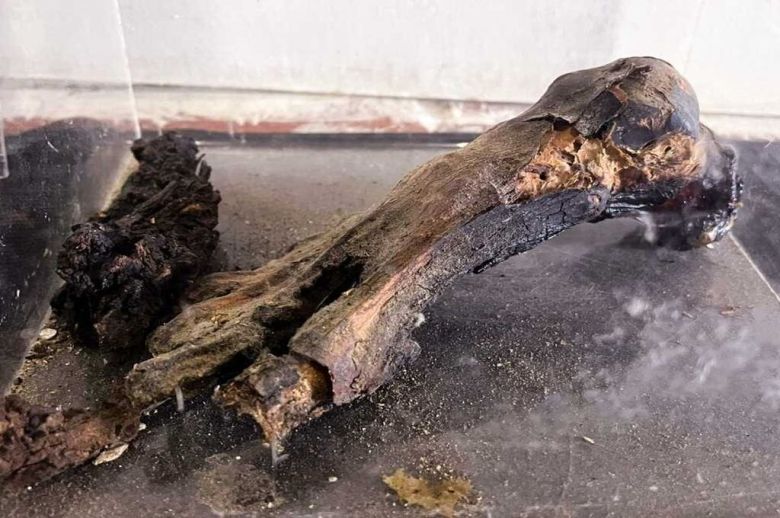 Falta de mérito para acusada de ocultar el contrabando de un pie de momia peruana