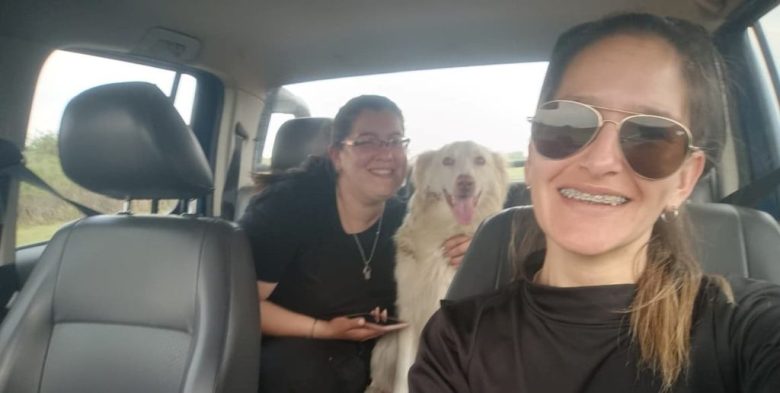 Rescate de una perra y sus cachorros tras un accidente en la autopista Santa Fe – Rosario
