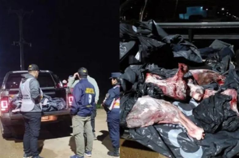 Decomisaron 700 kilos de pescado y un ciervo carneado durante un operativo en el departamento Islas