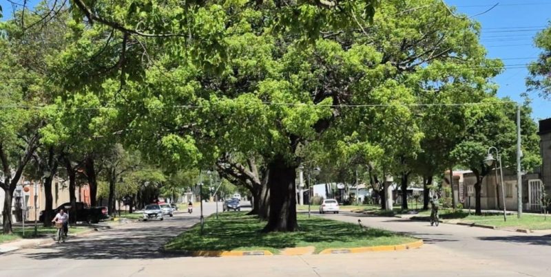 Entradera en una carnicería: dos delincuentes armados robaron dinero y medio costillar