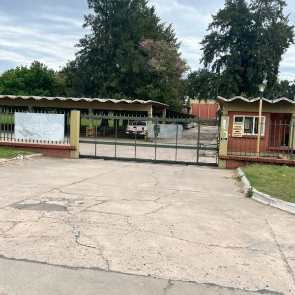 Por 180 días: la Justicia ordenó a la EPE reducir la facturación eléctrica de Algodonera Avellaneda
