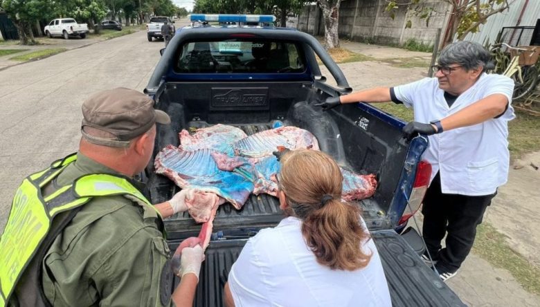 Decomisaron 120 kilos de carne sin sellos en carnicerías de Reconquista