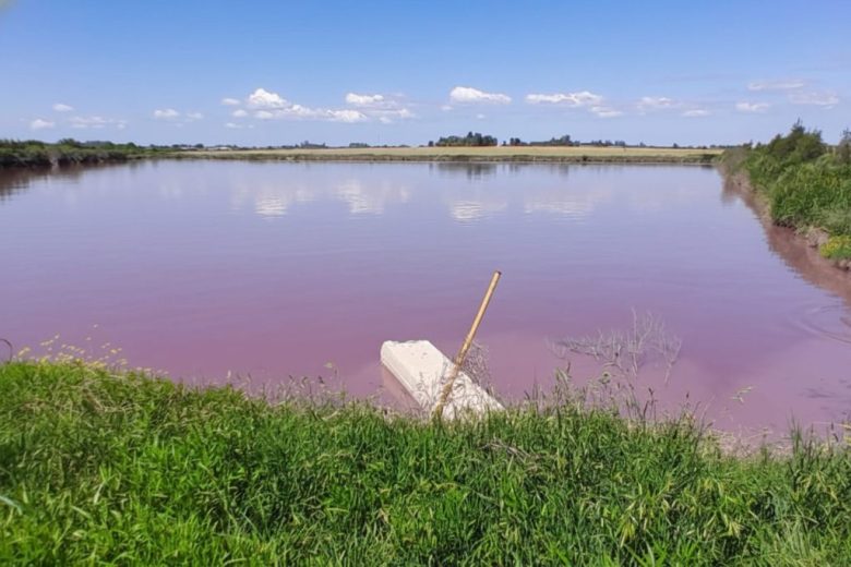 Intensifican el monitoreo ante coloración inusual en el arroyo El Espinillo