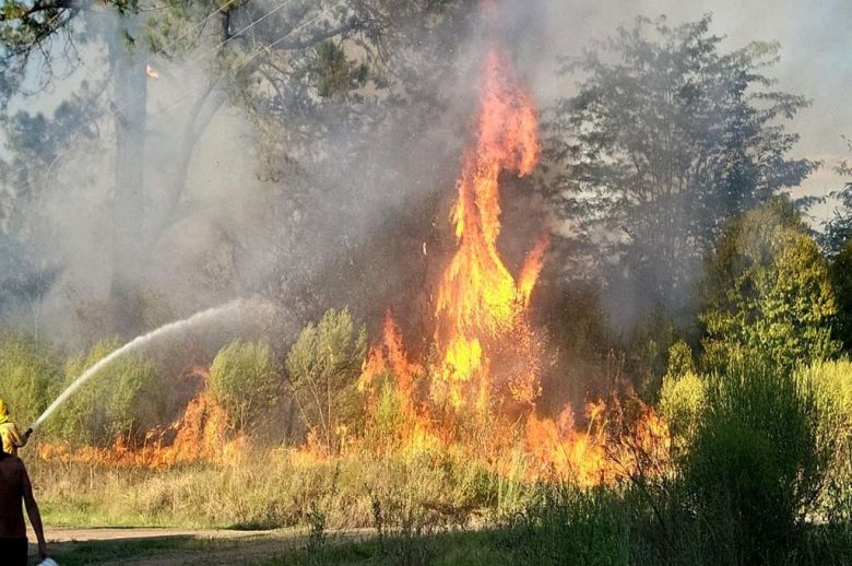 Incendios forestales: acciones para evitar las pérdidas y daño al ambiente