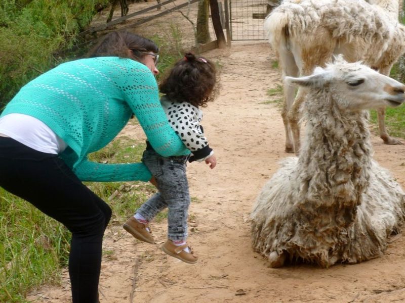 La Chinita es Área Natural Protegida, aprobada oficialmente por el Senado