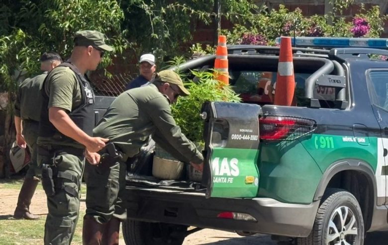 Abigeato, marihuana y una huida fallida: cuatro personas fueron detenidas tras un operativo en Malabrigo