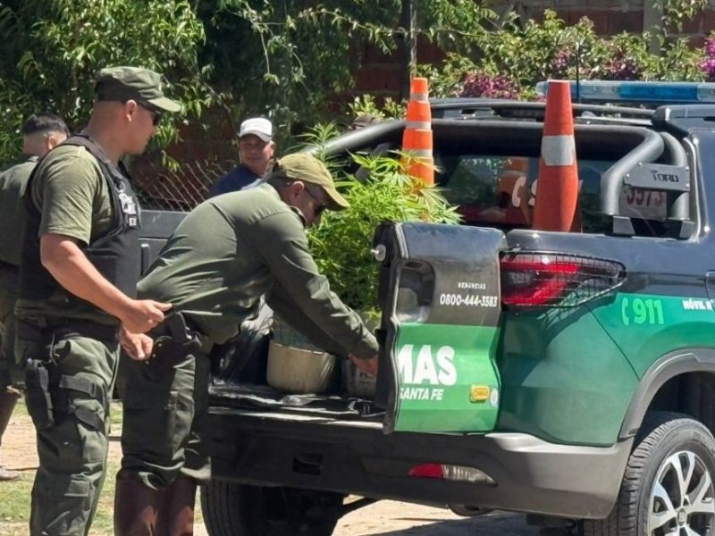 Abigeato, marihuana y una huida fallida: cuatro personas fueron detenidas tras un operativo en Malabrigo