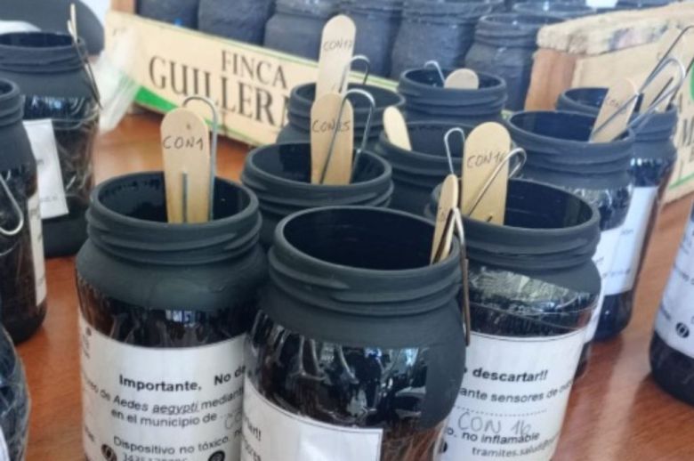 Duplicará las ovitrampas para evitar brotes de dengue en Paraná