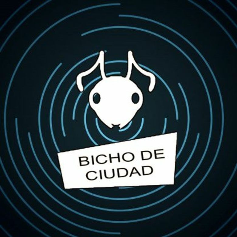 De la radio al escenario: celebran once años con música en vivo